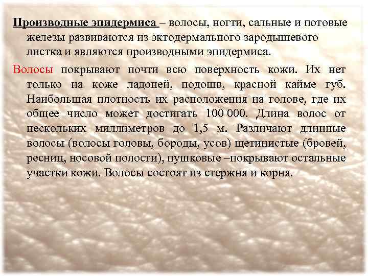 Волосы ногти потовые и сальные железы. Производное эктодермального листка. Волосы и ногти человека являются производными. Выберите производные кожи волосы ногти потовые и сальные железы. Волосы и ногти человека являются производными чего.