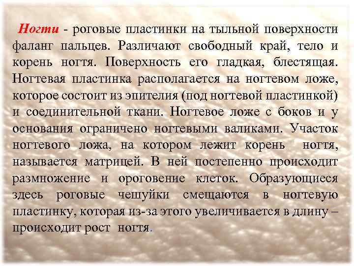 Ногти - роговые пластинки на тыльной поверхности фаланг пальцев. Различают свободный край, тело и