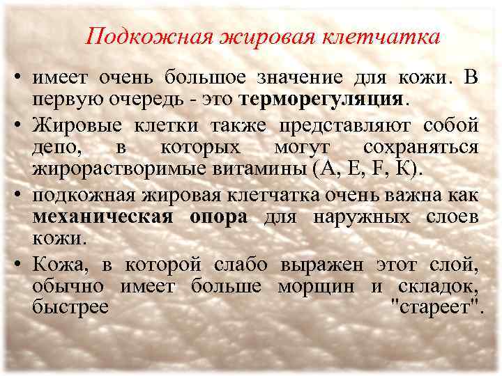 Подкожная жировая клетчатка • имеет очень большое значение для кожи. В первую очередь -