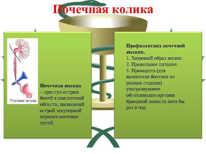 Почечная колика – приступ острых болей в поясничной области, вызванный острой закупоркой верхних мочевых