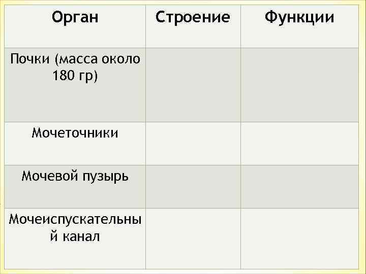 Орган Почки (масса около 180 гр) Мочеточники Мочевой пузырь Мочеиспускательны й канал Строение Функции