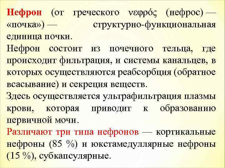 Нефрон (от греческого νεφρός (нефрос) — «почка» ) — структурно-функциональная единица почки. Нефрон состоит