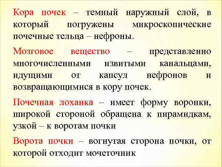 Кора почек – темный наружный слой, в который погружены микроскопические почечные тельца – нефроны.