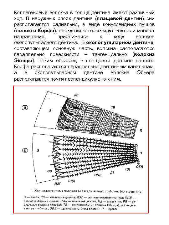 Плащевой дентин