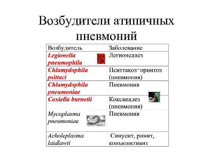 Возбудители атипичных пневмоний 