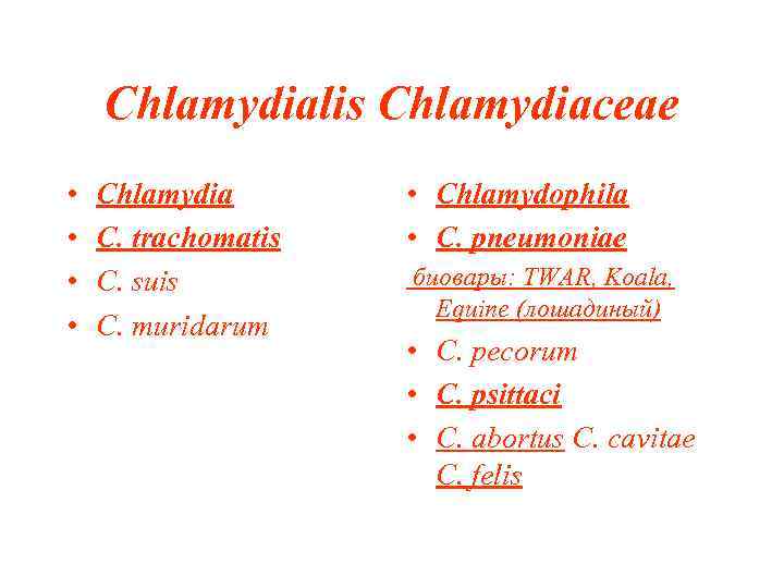 Chlamydialis Chlamydiaceae • • Chlamydia C. trachomatis C. suis C. muridarum • Chlamydophila •