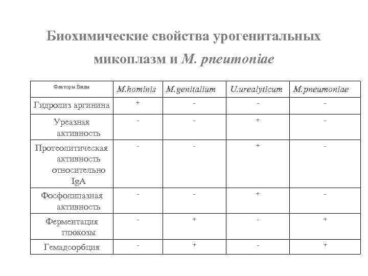 Биохимические свойства урогенитальных микоплазм и M. pneumoniae Факторы Виды M. hominis Гидролиз аргинина +