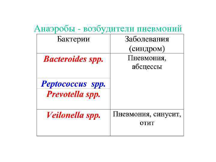 Анаэробы - возбудители пневмоний 