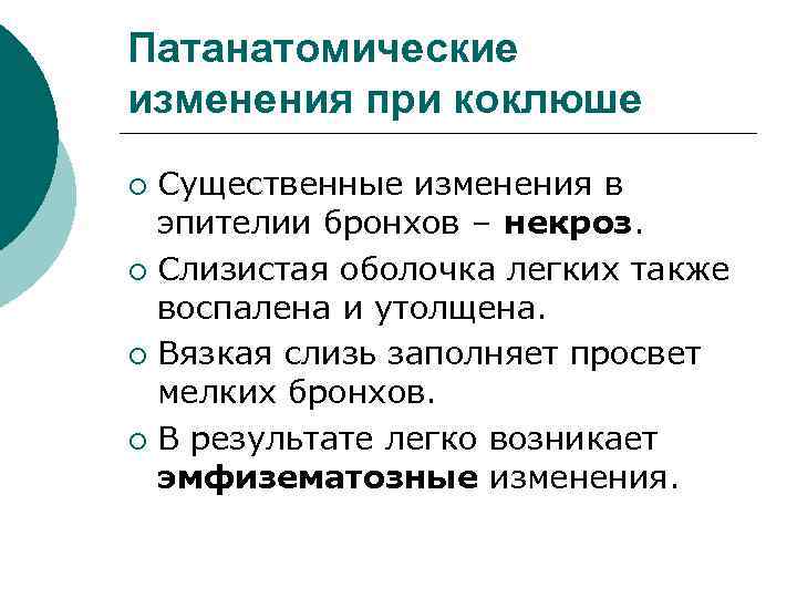 Патанатомические изменения при коклюше Существенные изменения в эпителии бронхов – некроз. ¡ Слизистая оболочка