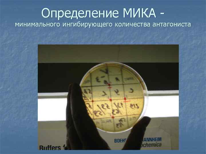 Определение МИКА - минимального ингибирующего количества антагониста 