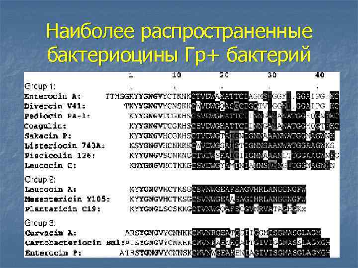Наиболее распространенные бактериоцины Гр+ бактерий 