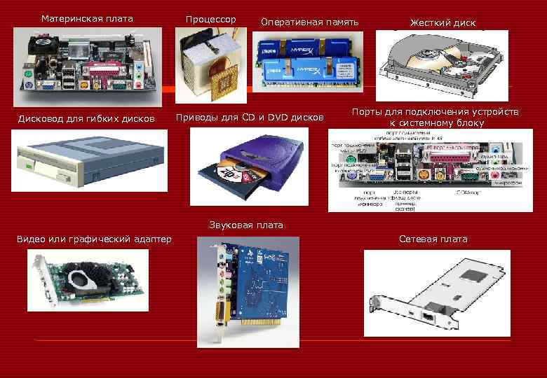 Материнская плата Дисковод для гибких дисков Процессор Оперативная память Приводы для CD и DVD