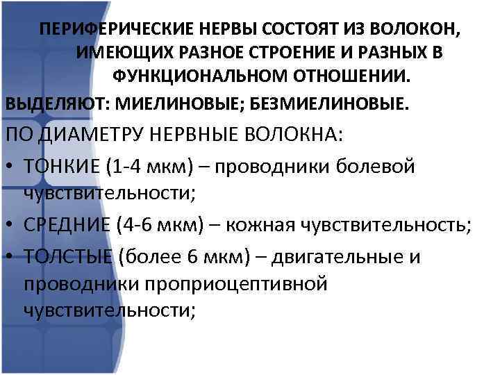 ПЕРИФЕРИЧЕСКИЕ НЕРВЫ СОСТОЯТ ИЗ ВОЛОКОН, ИМЕЮЩИХ РАЗНОЕ СТРОЕНИЕ И РАЗНЫХ В ФУНКЦИОНАЛЬНОМ ОТНОШЕНИИ. ВЫДЕЛЯЮТ: