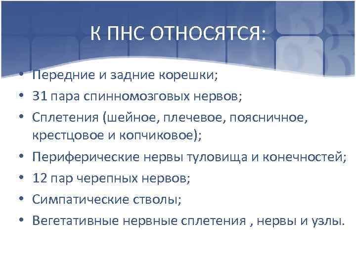 К ПНС ОТНОСЯТСЯ: • Передние и задние корешки; • 31 пара спинномозговых нервов; •