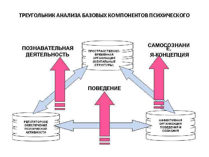 ТРЕУГОЛЬНИК АНАЛИЗА БАЗОВЫХ КОМПОНЕНТОВ ПСИХИЧЕСКОГО САМОСОЗНАНИ Е, Я-КОНЦЕПЦИЯ ПОЗНАВАТЕЛЬНАЯ ДЕЯТЕЛЬНОСТЬ ПОВЕДЕНИЕ 