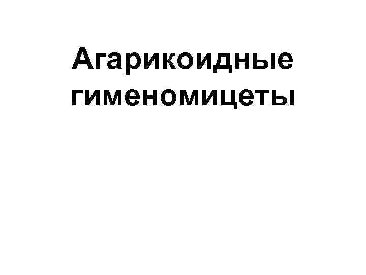 Агарикоидные гименомицеты 