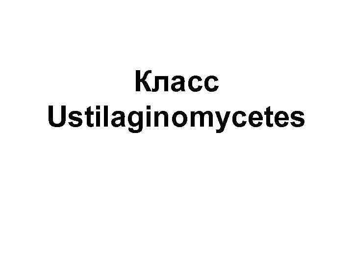 Класс Ustilaginomycetes 