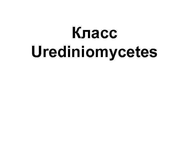 Класс Urediniomycetes 