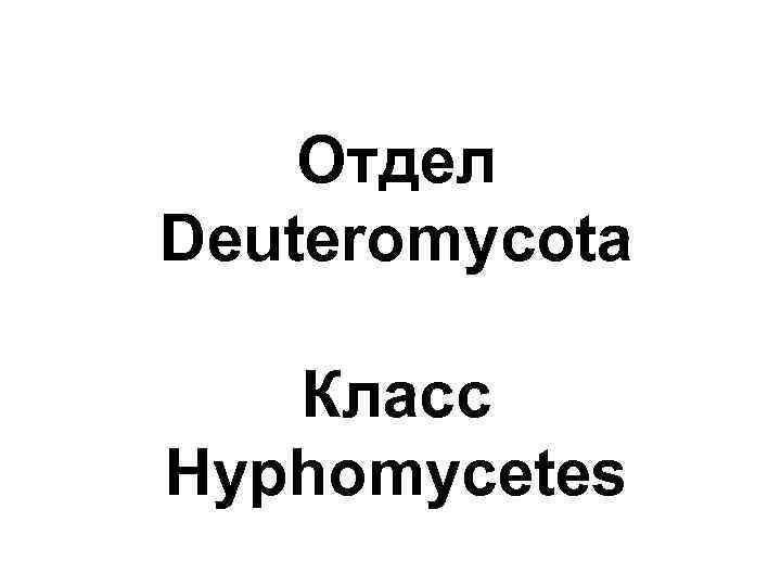Отдел Deuteromycota Класс Hyphomycetes 
