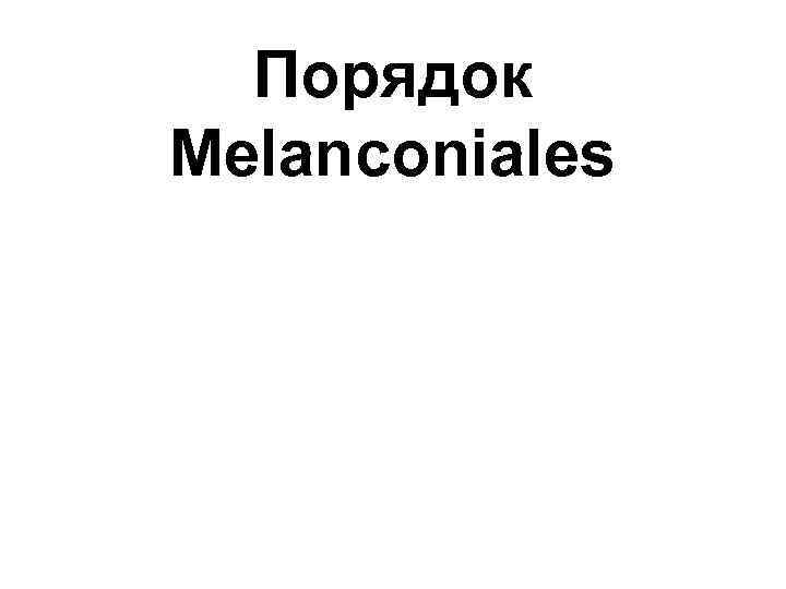Порядок Melanconiales 