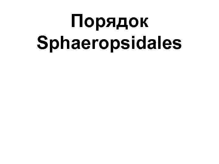 Порядок Sphaeropsidales 
