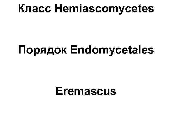 Класс Hemiascomycetes Порядок Endomycetales Eremascus 