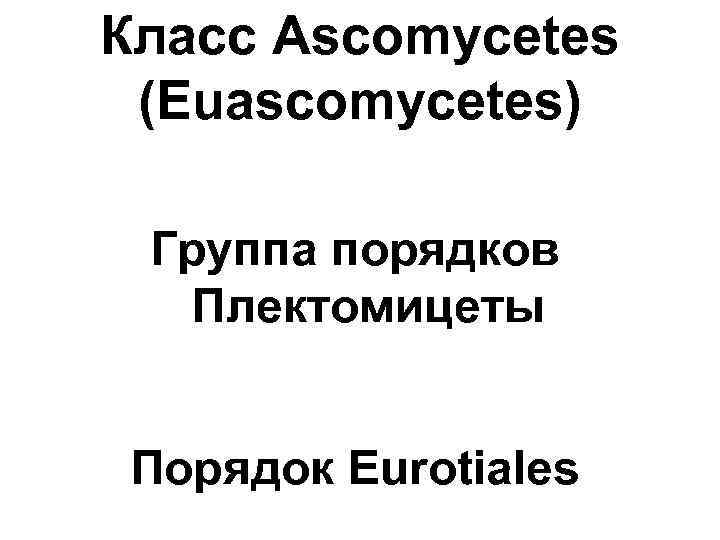 Класс Ascomycetes (Euascomycetes) Группа порядков Плектомицеты Порядок Eurotiales 
