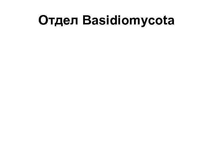 Отдел Basidiomycota 