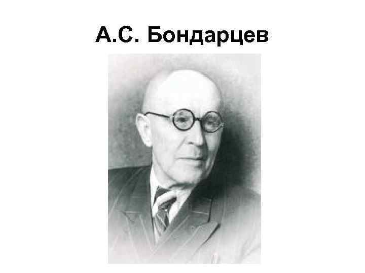 А. С. Бондарцев 