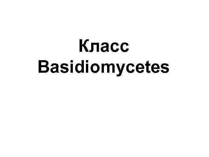 Класс Basidiomycetes 