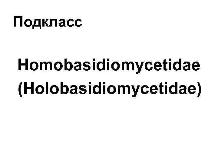 Подкласс Homobasidiomycetidae (Holobasidiomycetidae) 