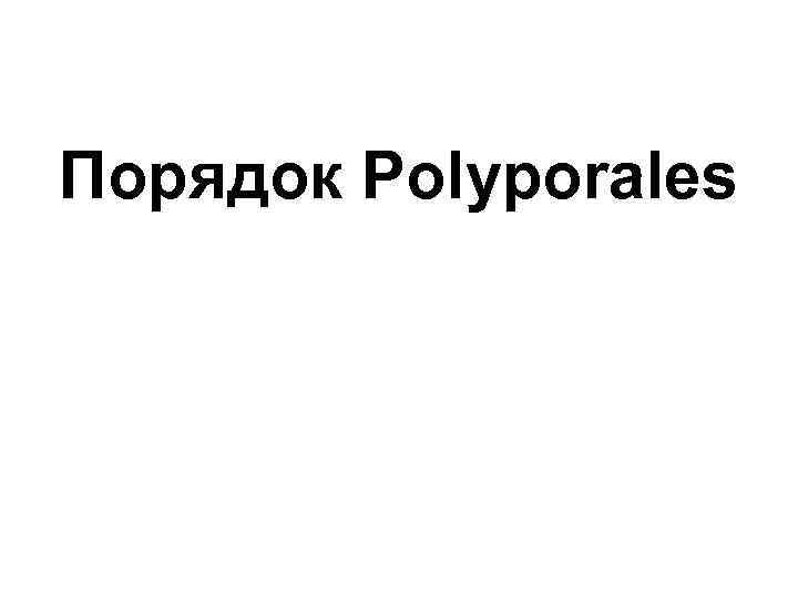 Порядок Polyporales 