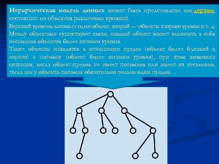 Иерархическая модель данных может быть представлена как дерево, состоящее из объектов различных уровней. Верхний