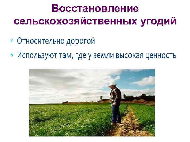 Восстановление сельскохозяйственных угодий 