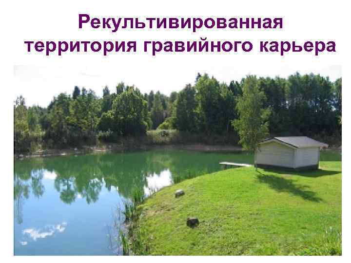 Рекультивированная территория гравийного карьера 