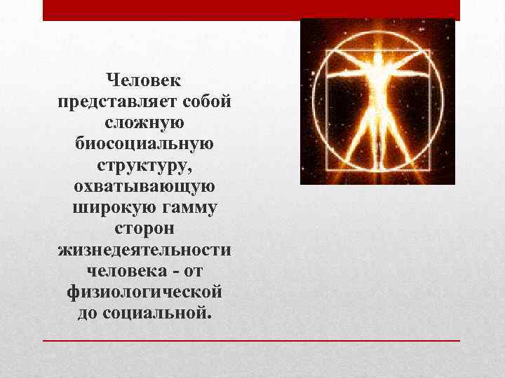 Человек представляет собой сложную биосоциальную структуру, охватывающую широкую гамму сторон жизнедеятельности человека - от