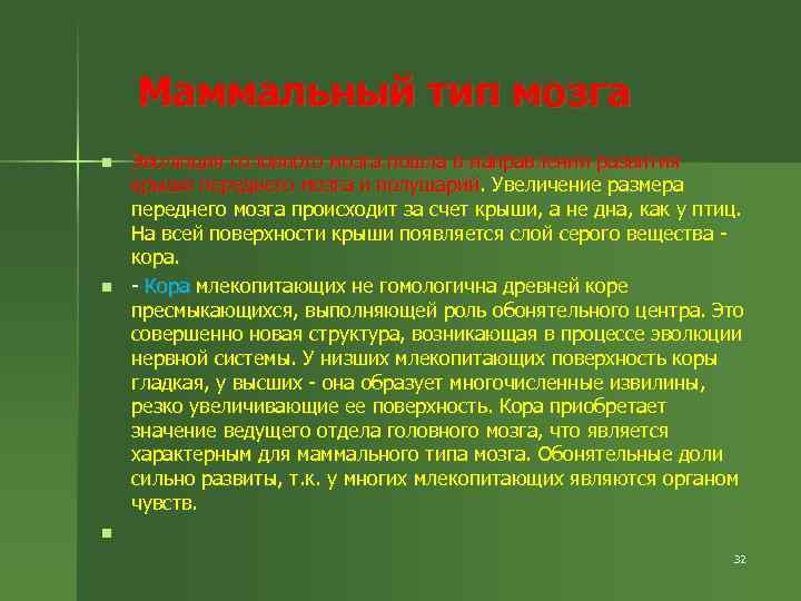 Маммальный тип мозга n n n Эволюция головного мозга пошла в направлении развития крыши