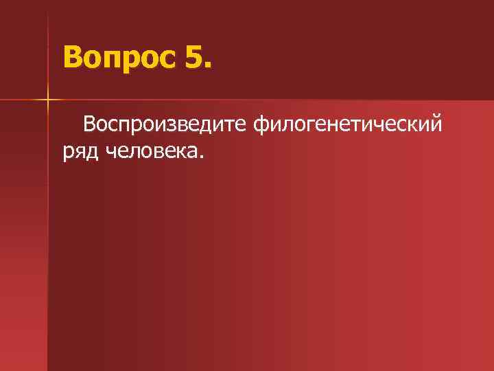Вопрос 5. Воспроизведите филогенетический ряд человека. 