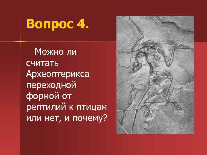 Вопрос 4. Можно ли считать Археоптерикса переходной формой от рептилий к птицам или нет,