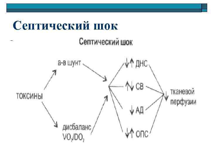 Септический шок 