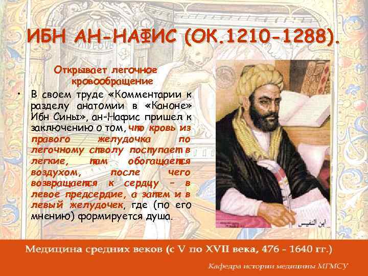 ИБН АН-НАФИС (ОК. 1210 -1288). Открывает легочное кровообращение • В своем труде «Комментарии к