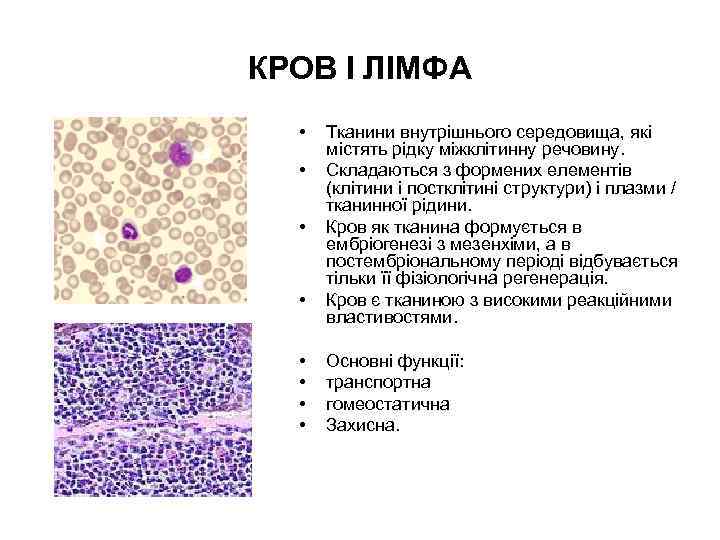 КРОВ І ЛІМФА • • Тканини внутрішнього середовища, які містять рідку міжклітинну речовину. Складаються