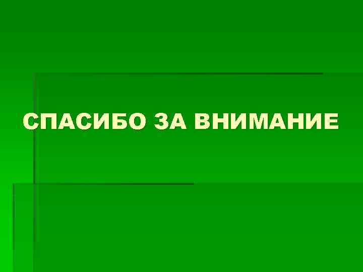 СПАСИБО ЗА ВНИМАНИЕ 
