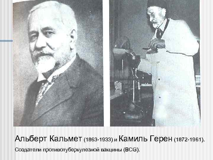 Альберт Кальмет (1863 -1933) и Камиль Герен (1872 -1961). Создатели противотуберкулезной вакцины (BCG). 