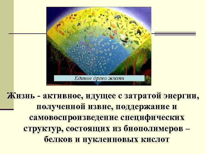 Жизнь - активное, идущее с затратой энергии, полученной извне, поддержание и самовоспроизведение специфических структур,