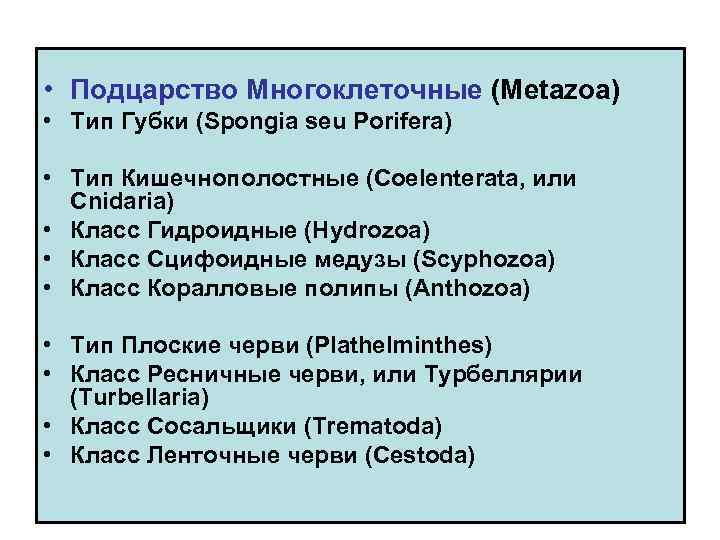  • Подцарство Многоклеточные (Metazoa) • Тип Губки (Spongia seu Porifera) • Тип Кишечнополостные