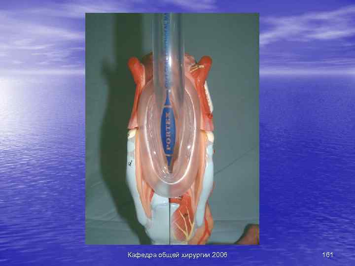 Кафедра общей хирургии 2006 161 