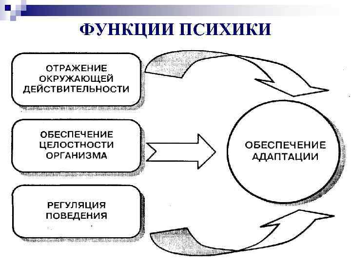 ФУНКЦИИ ПСИХИКИ 