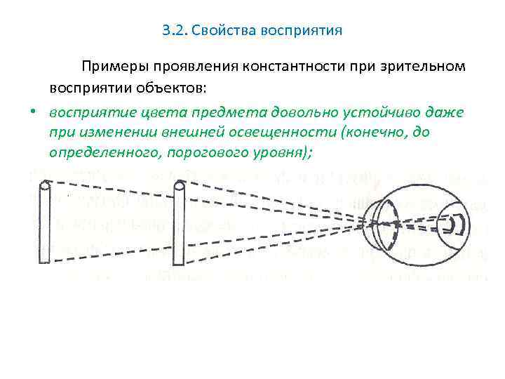 3. 2. Свойства восприятия Примеры проявления константности при зрительном восприятии объектов: • восприятие цвета