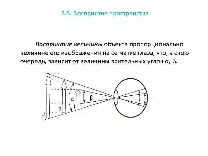 Восприятие места. Восприятие пространства. Восприятие величины предмета. Восприятие пространства пример. Восприятие пространства в психологии.